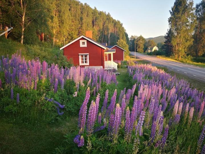 Lilla Huset 度假居 *
